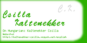 csilla kaltenekker business card